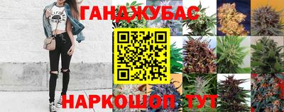 ALPHA PVP Ачхой-Мартан