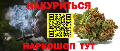 гашик Анжеро-Судженск