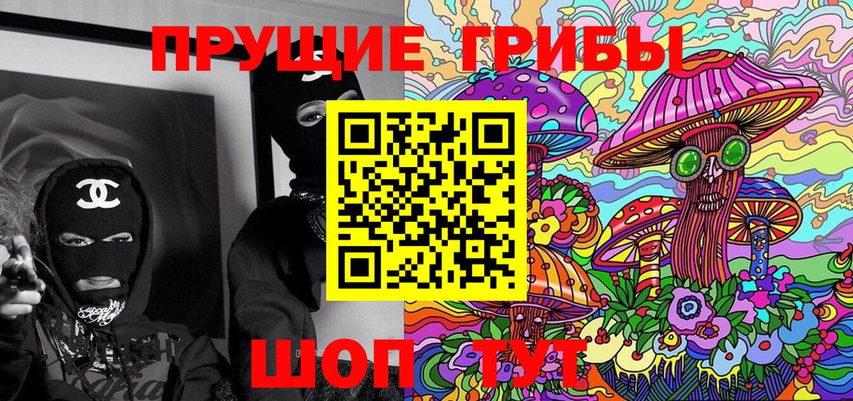 Галлюциногенные грибы Psilocybe  наркошоп  Пенза  Вход с VPN 